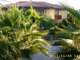 felicia_village_side (12)