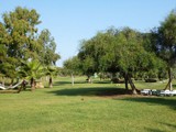 felicia_village_side (14)