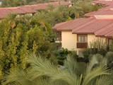 felicia_village_side (16)