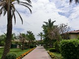 felicia_village_side (4)