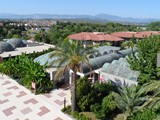 felicia_village_side (8)