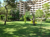 grand_prestige_side (62)