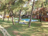 Grand_Yazici_Turban (22)