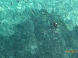 grand_yazici_mares (22)