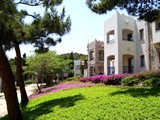 hapimag_sea_garden (21)
