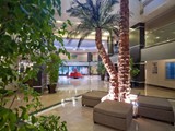 iberostar_bellis (3)