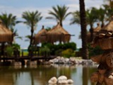 ic_hotels_green_palace (2)