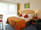 ic_hotels_green_palace (3)