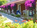 kaya_prestige_sunshine (11)