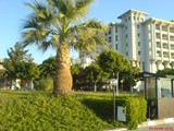 kaya_prestige_sunshine (3)