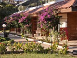 kaya_prestige_sunshine (5)