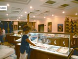 kolibri_hotel (6)