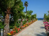 le_jardin_resort (16)