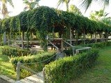 kirman_leodikya_resort (16)