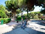 limak_arcadia_resort (11)
