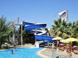 lioness_hotel (11)