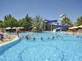 lioness_hotel (12)