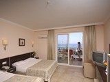 lioness_hotel (14)