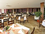 lioness_hotel (17)