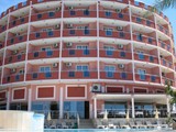 lioness_hotel (7)