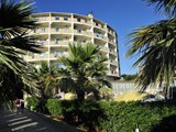lioness_hotel (8)