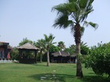 lti_lycus_beach (1)