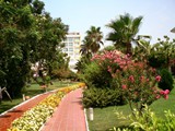 lti_lycus_beach (11)