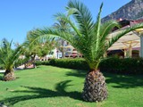 lykia_world_oludeniz (42)