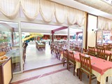 magnolia_hotel (9)