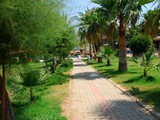 mc_park_resort (5)