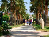 mc_park_resort (6)