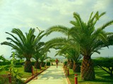 mersin_beach_hotel (15)
