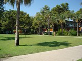 mirada_del_mar (2)