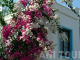 muskebi_club_bodrum (4)
