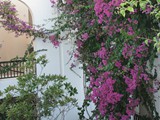 natur_hotel_bodrum (4)