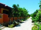 ozlem_garden_side (1)