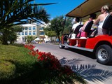Palm_Wings_Beach_Didim (19)