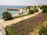 Palm_Wings_Beach_Didim (29)