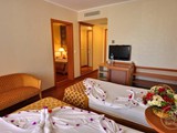 otel_pine-house-hotel_VUO2kuY5QbvV2AA0fYAU