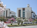 port_side_resort (13)