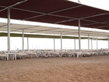 raymar_hotel_side (69)