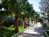 riverside_club_kibris (10)