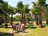 royal_atlantis_beach (17)