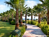 royal_atlantis_beach (18)