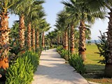 royal_atlantis_beach (19)