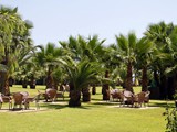 royal_atlantis_beach (6)