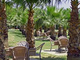 royal_atlantis_beach (7)