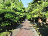 sailors_beach (20)