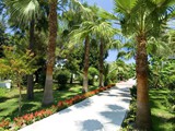 sailors_beach (9)
