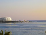 sentido_gold_island (5)
